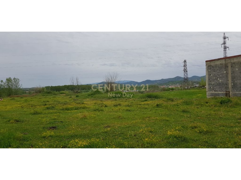 Pjezë - photos