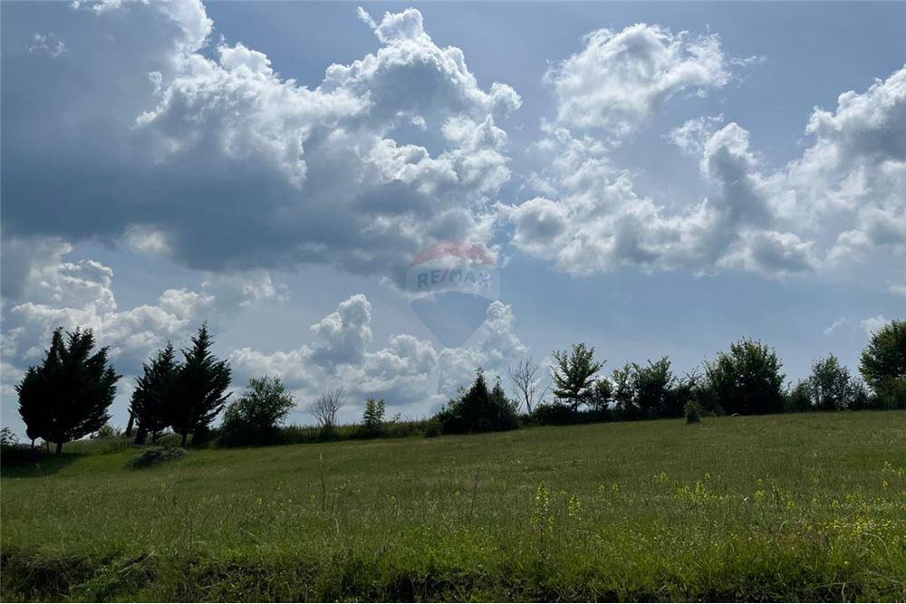 Foto e Tokë në shitje Picalle, Zone Rurale, Tiranë