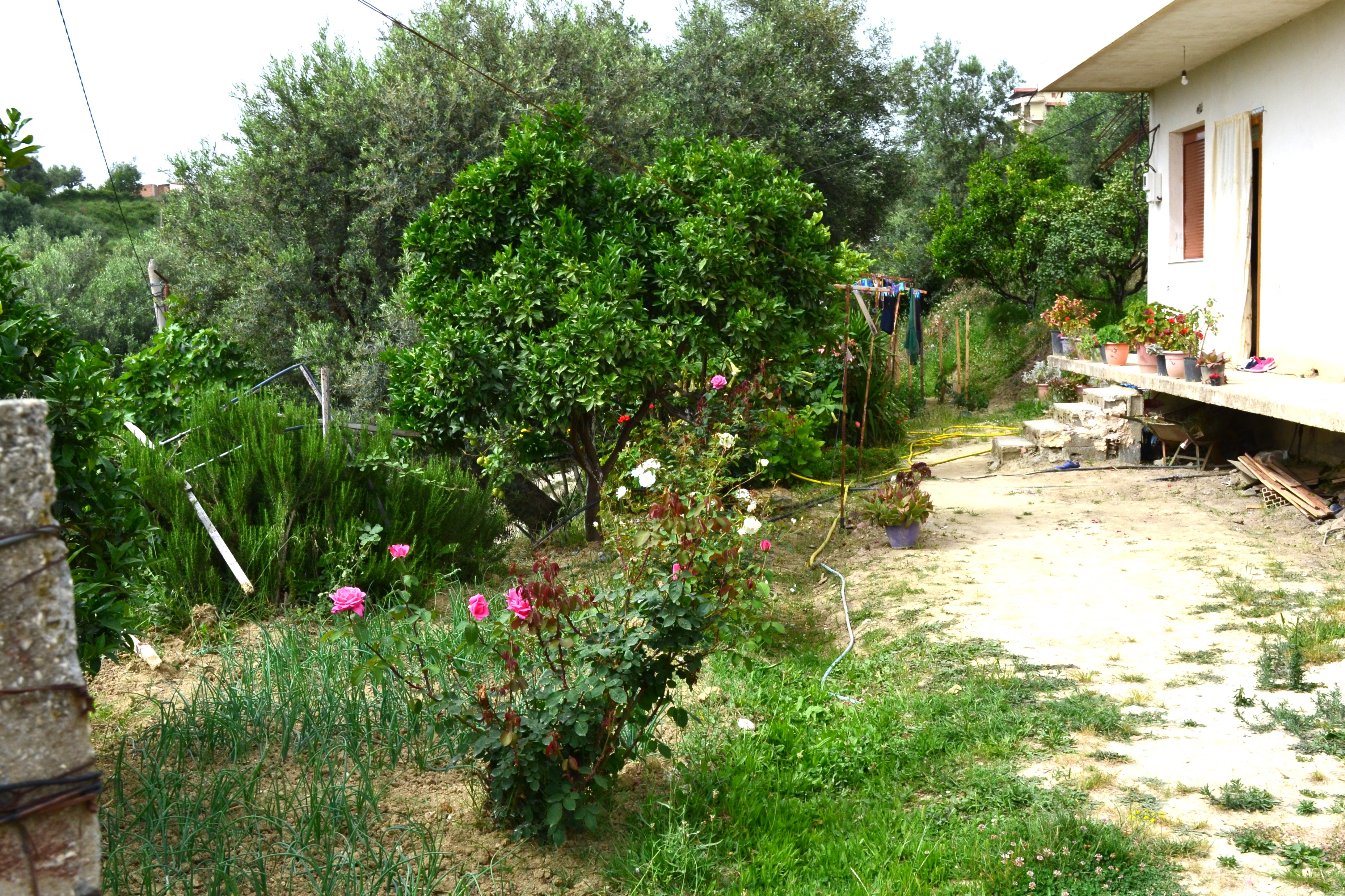 Foto e Shtëpi në shitje Eduard Lir, Vlorë