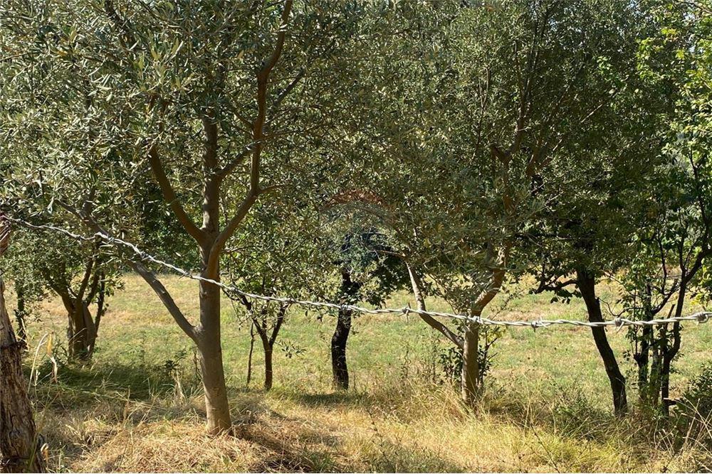 Foto e Tokë në shitje Tufine, Linze, Tiranë