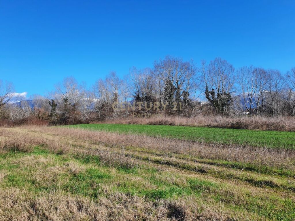 Foto e Tokë në shitje Prezë, Tiranë