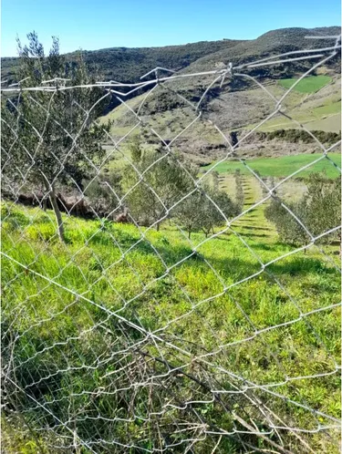 Foto e Tokë në shitje Qerret, Durrës