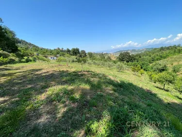 Foto e Tokë në shitje Vore, Rruga Sulhaxhi, Vorë, Tiranë