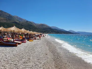 Foto e Ambient biznesi në shitje rruga borsh , Vlorë