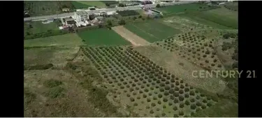 Foto e pronë në shitje Qerret, Atostrada Kavaje - Rrogozhine, Durrës