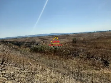 Foto e Tokë në shitje Divjakë pranë Karavastasë së Re 📍Prona ndodhet në afërsi të rrugës kryesore, Lushnje, Lushnjë