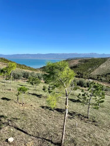 Foto e Tokë në shitje Kepi Rodonit, Shetaj, Durrës