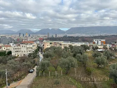 Foto e studio në shitje Kopshti Botanik Zoologjik, Tiranë