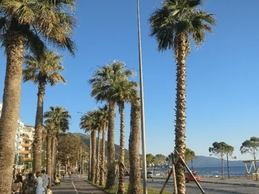 Foto e Apartment në shitje Lungomare , Vlore, Vlorë