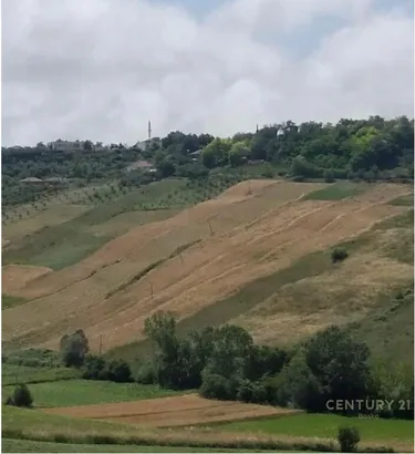 Foto e Tokë në shitje Kavajë, Sterbeg