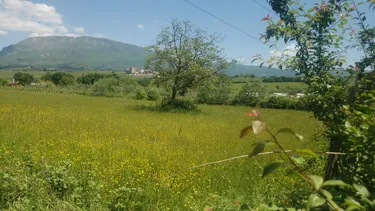 Photo of land for sale Lunder, Tiranë