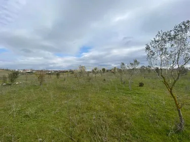 Foto e Tokë në shitje Shijak, Gjepalaj, Durrës