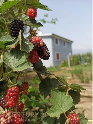 Foto e Tokë në shitje Bubq, Nikel, Fushë, Fier