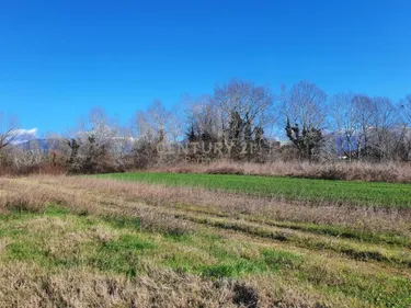 Foto e Tokë në shitje Prezë, Tiranë