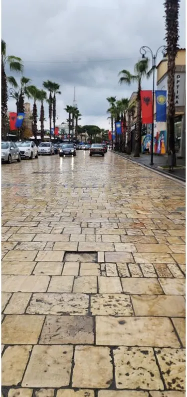 Foto e Ambient biznesi në shitje Kavajë