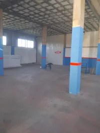 Vore - photos of  for Store