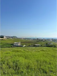 Arapaj - photos of  for Land