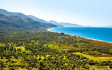 Foto e Tokë në shitje Palase, Palasë, Vlorë