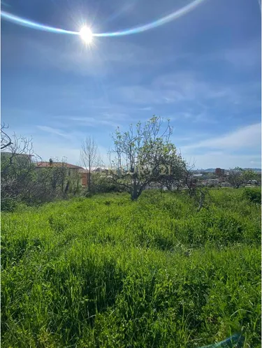 Foto e Tokë në shitje Shkallnur, Durrës