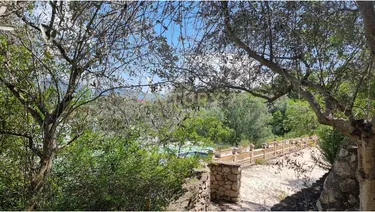 Foto e Tokë në shitje Prane Teg, Tiranë
