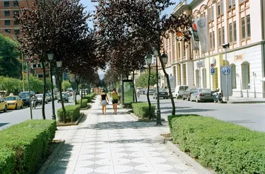 Foto e Ambient biznesi në shitje Rruga e Kavajes, Tiranë