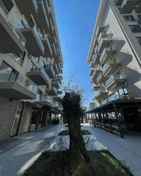 Shengjin - photos of  for Apartment