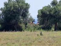 Borsh - photos of  for Land