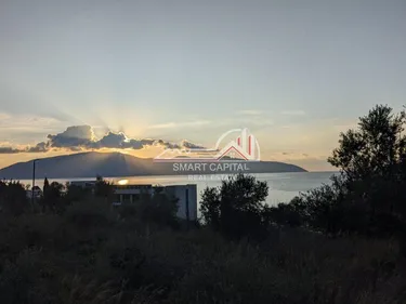 Foto e Ambient biznesi në shitje Uji i Ftoht, Vlorë