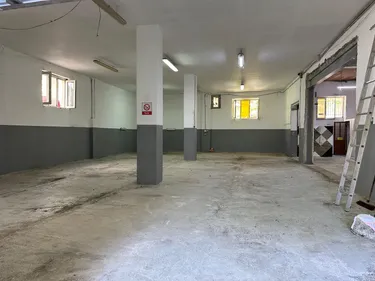Siri Kodra - photos
