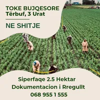 3 Urat , Prane Cerm Sektor - photos of  for Land