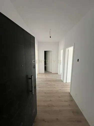 Kamez Qender - photos