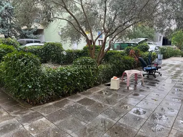 Kopshti Botanik, Tiranë - photos