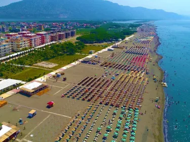 Velipojë, Shkodër - photos