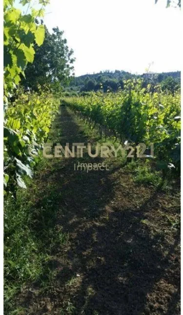 Photo of land for sale Baldushk, Tiranë