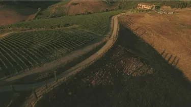 Zdjęcie land na sprzedaż Gradishtë, Gradishtë, Divjakë, Lushnje, Divjakë, Lushnjë