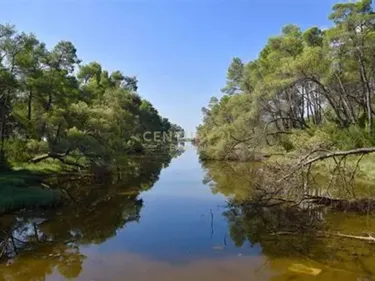 Zdjęcie hotel na sprzedaż Divjakë, Shqipëri, Divjakë, Lushnjë