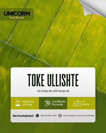 Foto e Tokë në shitje Rruga Asfaltuar Allprenaj, Allprenaj, Lushnjë