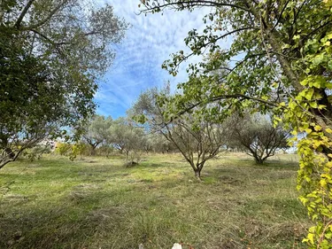 Foto von land zum verkauf Lunder, Tiranë
