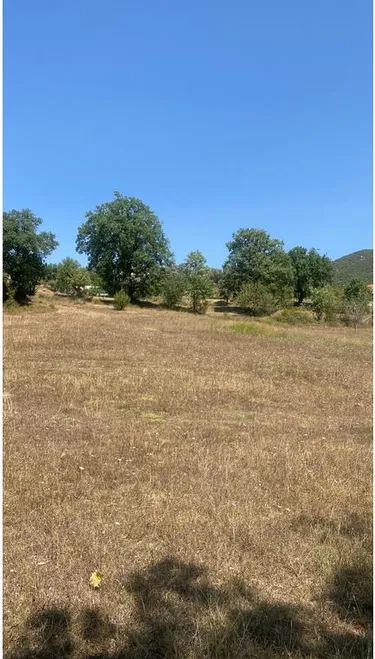 Fotografie land na prodej Shishtufinë, Tiranë