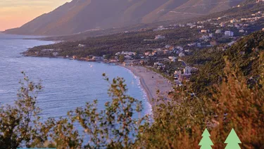 Land for Sale in Livadh | 2,100 m² Olive Grove