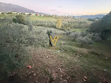 Zdjęcie land na sprzedaż Rruga e Daxhit, Tiranë