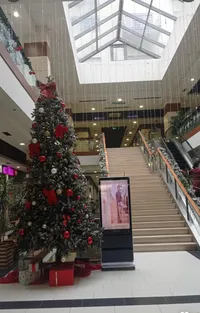 Rruga 5 Maji - photos of  for Apartment