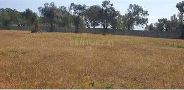 Foto e Tokë në shitje Babrru, Kodër Babrru, Tiranë