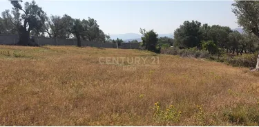 Foto e Tokë në shitje Babrru, Koder Babrru, Tiranë