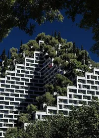 Lion Park 2 - photos of  for Apartment