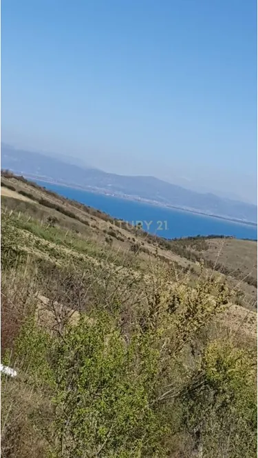 Foto di land in vendita Shetej, Kepi i Rodonit, Durrës