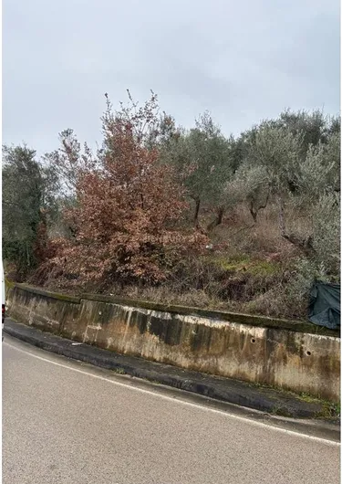 Фото land на продажу Sauk i Vjetër, Rruga e Ullishtes, Tiranë