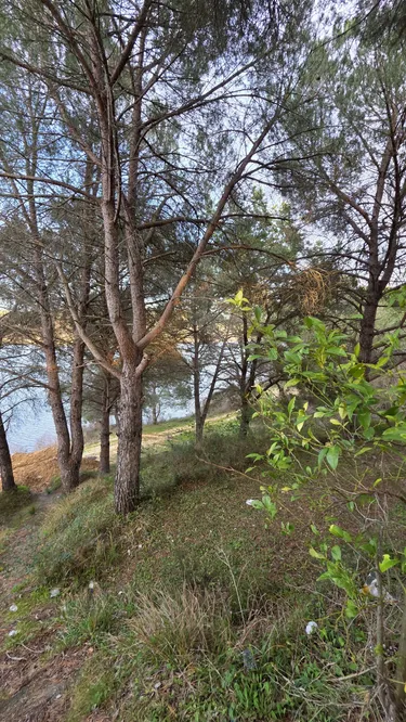 Foto von commercial zum verkauf Prane Liqenit, Kasharaj Lushnje, Lushnje, Lushnjë