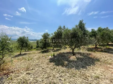 Foto von land zum verkauf Habilaj, Durrës