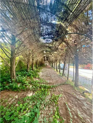 Photo of hotel for sale Peze, Tiranë